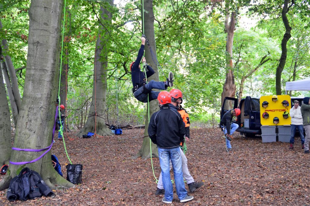 Boomverzorgers klimmen in de bomen
